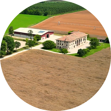 Azienda Agricola Tellan